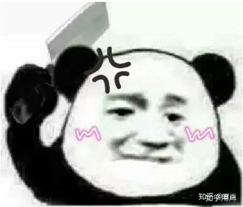 这可能是你见过的最奇葩的文言文翻译