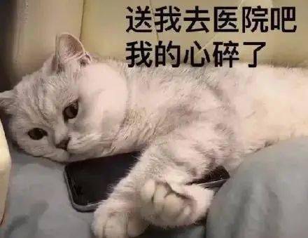 心碎的表情包症状