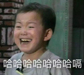 小汇情报十亿元收入的快感,你确定你不来