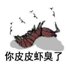 皮皮猪我们走和皮皮虾我们走是什么梗什么关系县域经济中国网