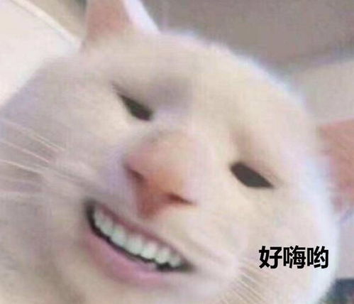 em表情包所有代码全民海星