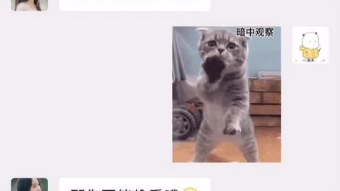 晚上我也要这样抱着你睡,表情包