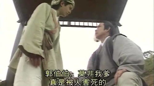 神雕侠侣台词依旧历历在目,多少人注意到了郭靖的表情