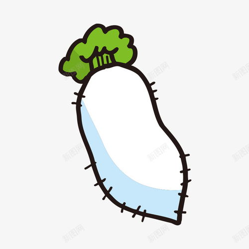 卡通手绘白色的萝卜免费下载页面网页平面电商创意素材手绘绿叶素材