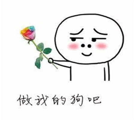 表情包不要怕穷因为它可是陪伴你一辈子的情人