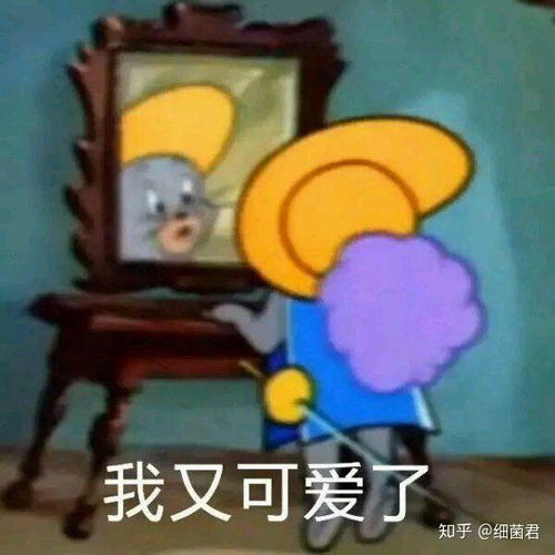 黄皮耗子表情包何同学