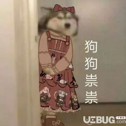 抖音上狗狗祟祟带字表情包图片汇总大全