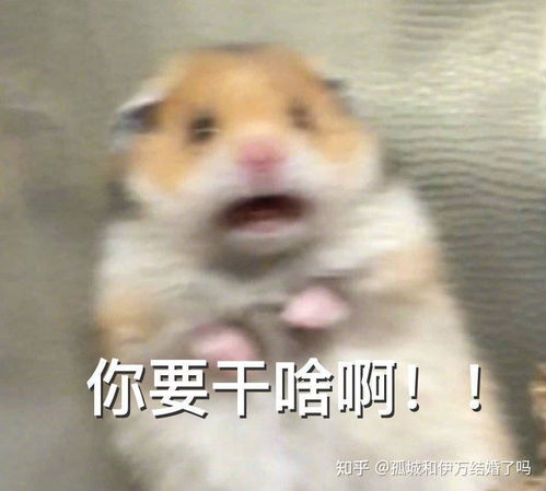 抖音为何让人恶心