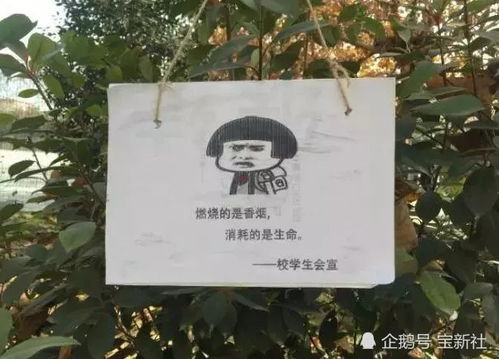 禁烟令正式上线,校学生会的神操作,网友太有魔性了