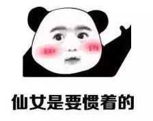 硬核试睡一房难求的三落厝,一场真正的隐世之旅