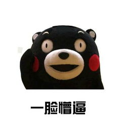 如何准确判断一个人的脸型