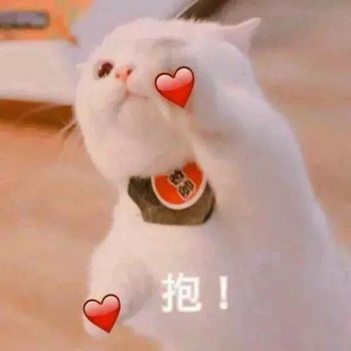 那个姑娘喝醉酒,追着我叫爸爸,问我为啥不认她