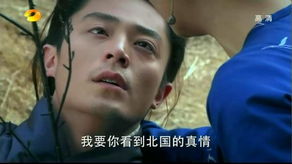 贱人就是矫情盘点影视剧里的经典台词