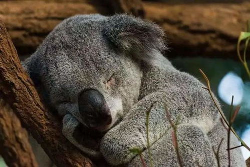 人睡三觉,命比纸薄不良的睡眠习惯对身体危害大很多人都不重视