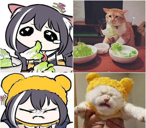 家里有猫多欢乐画师大佬把猫咪和公主连结做了结合,快给我变