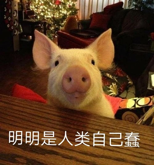 人类起的猪队友单身狗之类的称呼,动物朋...
