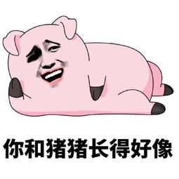 神回复集锦男人都是大猪蹄子,那女人是什么呢