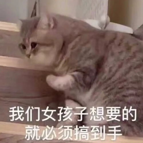 丸子圆乎乎表情
