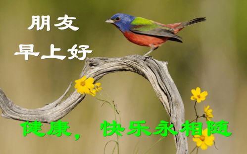 最新版非常漂亮的早上好表情图片温馨早安心语语录