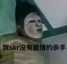 skr到底是个什么梗不管了有skr表情包就够了