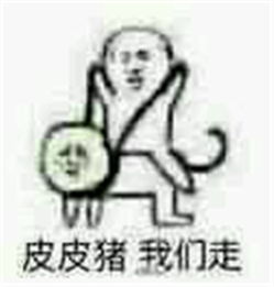 皮皮猪表情包图片黄二白