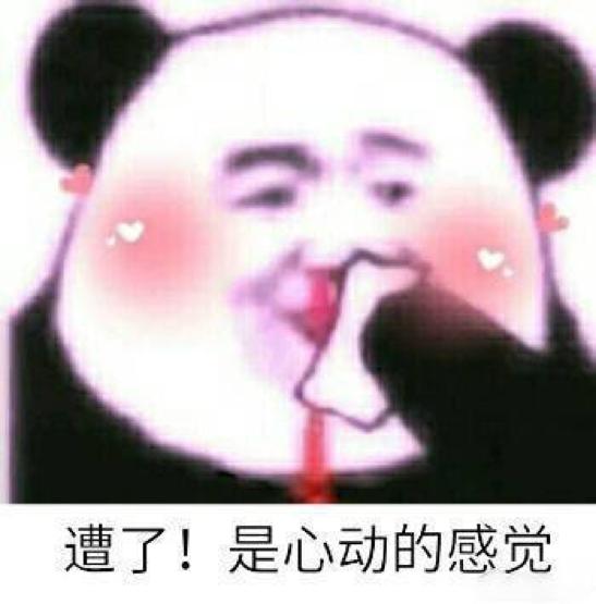 网红鸭子表情包动图比心