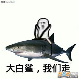 皮皮虾我们走表情图片xxx我们走系列表情包下载乐游网游戏下载