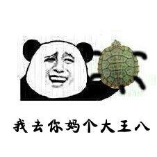 过年相亲遇见的奇葩对象,第一个就笑喷了哈哈哈哈哈哈哈哈哈哈哈