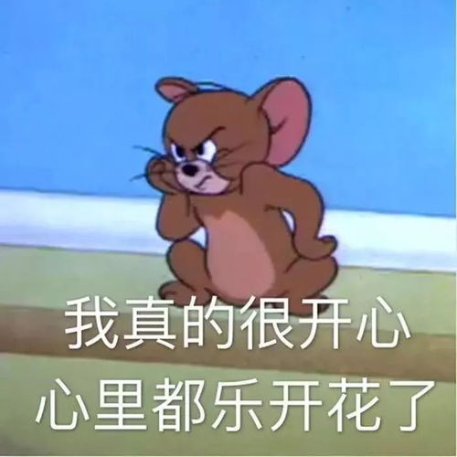 表情sir啊车速太快了