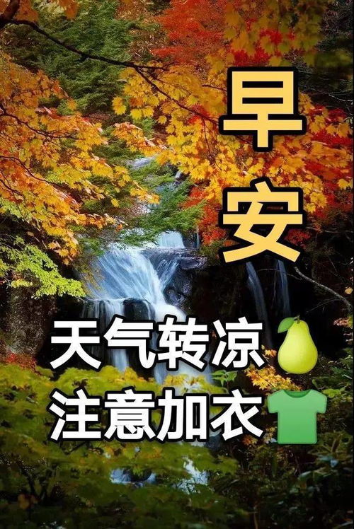 2021早上好表情包天气变冷注意添加衣服保暖,天气降温转凉微信问候语
