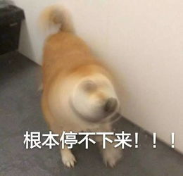 千玺摇头摇疯了傻傻有人爱