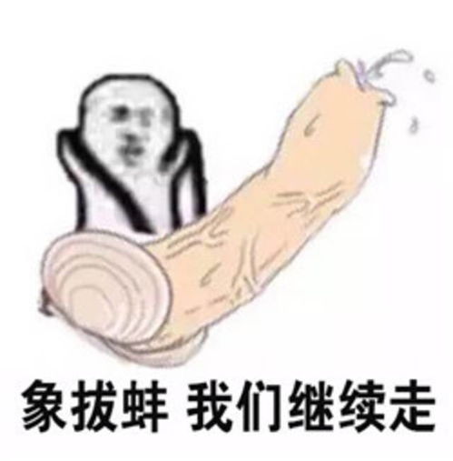 爆红的网络流行语,皮皮虾我们走是个什么梗