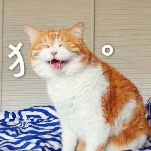 天津一网友被贴条大反转车主回应他们的名字叫雷锋