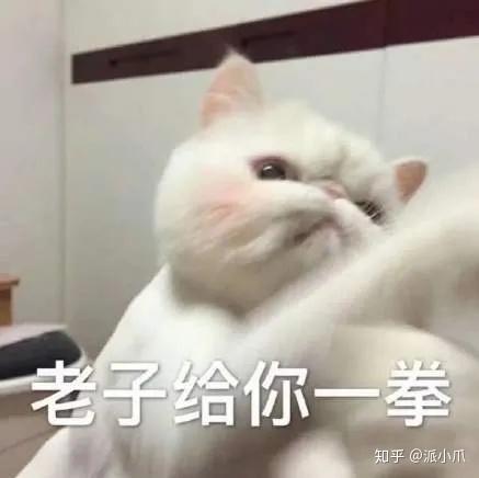 德棍表情包于毅