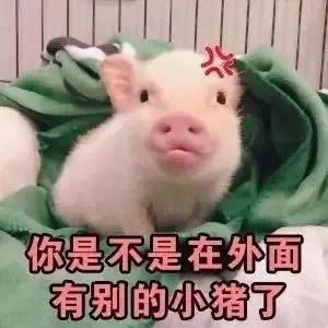 还在愁斗图时没有货来来来虎b哥的图库拿去