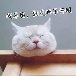 打印机选纸指南来啦