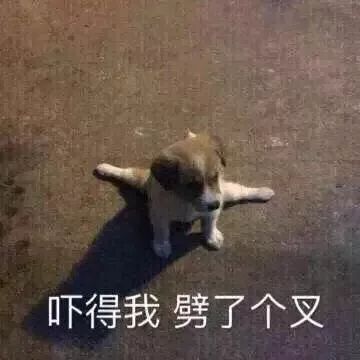 有文化的小学生运气不会太差,连绝交信都是王者级别的