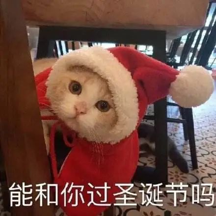 2021微信头像圣诞帽子怎么弄微信头像加圣诞帽方法