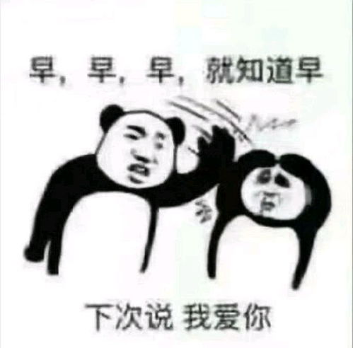 沙雕表情包真给你惯的