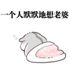 求老婆原谅专用表情包老婆你可以打我骂我,就是不能不理我