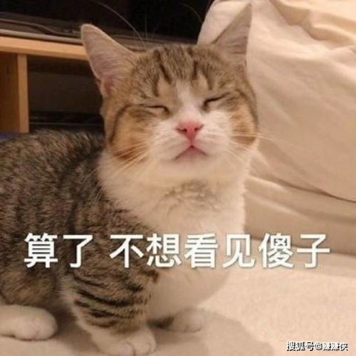 搞笑表情包图片一组莫名其妙表情包图片