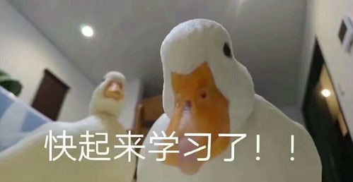 武汉24岁中专学历男子学编程,月入一万二,女朋友是00后研究生