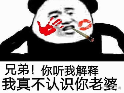表情包不你不想老婆