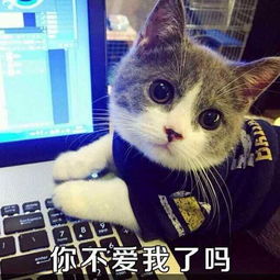 把那几个字去掉不伤害原图
