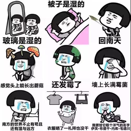 回南天表情包无水印梅雨季回南天表情包动图大全