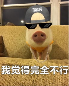 我觉得不行是什么梗表情包完整版地址