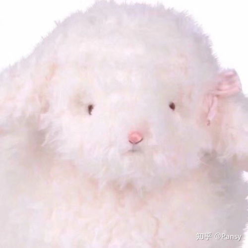 献给给我的小可爱们一波可爱头像,表情包
