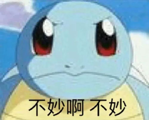 娱乐圈有哪些瘦死的骆驼比马大的cp欢迎提名