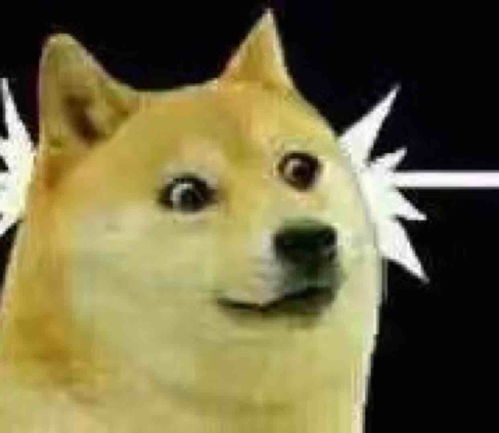 酒业半年数据披露,白酒仍是拉动业绩主力军