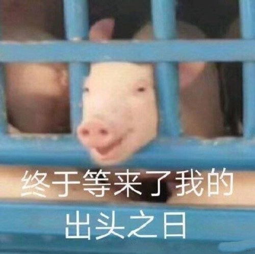 吵赢了,但没完全吵赢